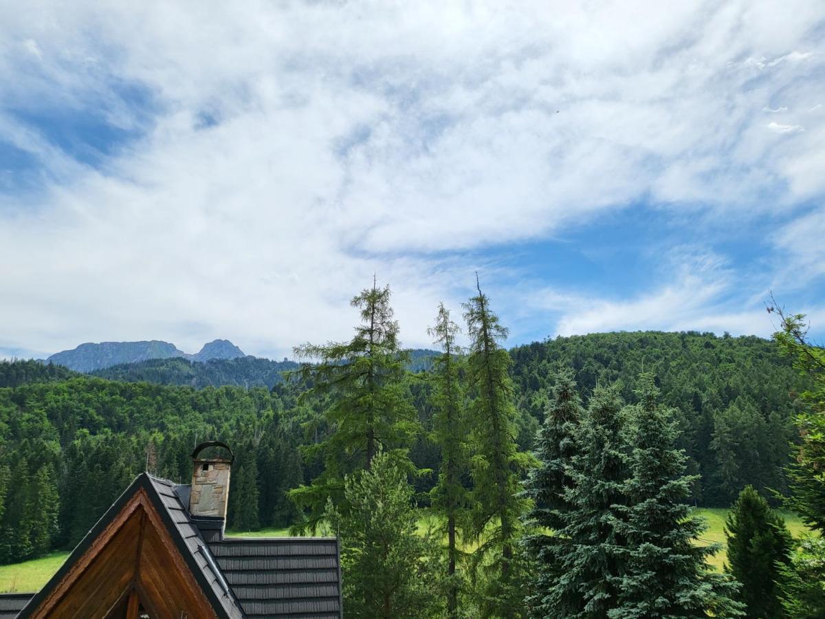 Willa Na Potoku Zakopane Exterior photo