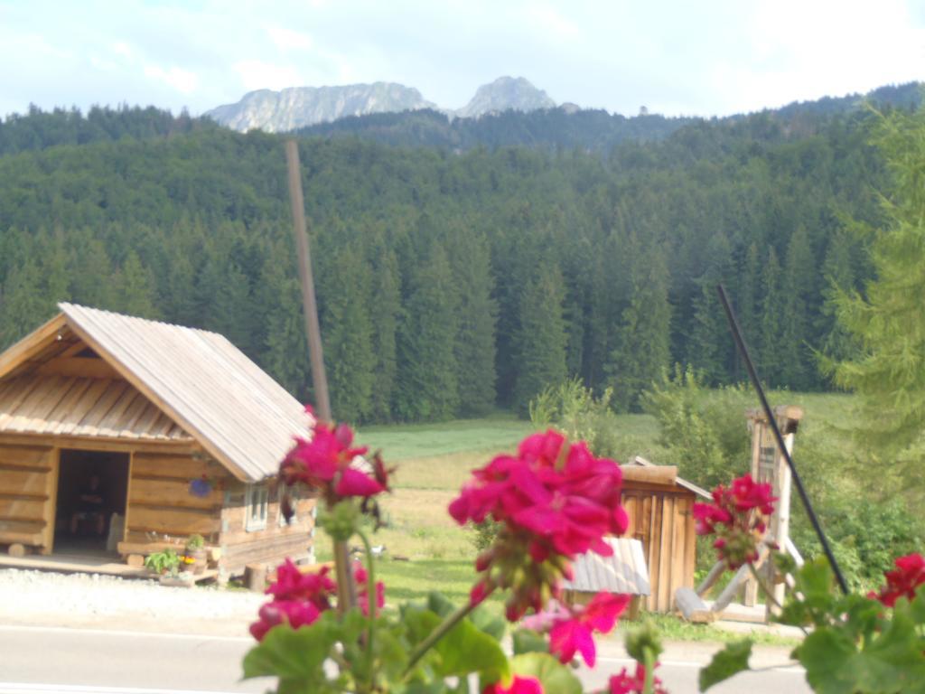 Willa Na Potoku Zakopane Exterior photo