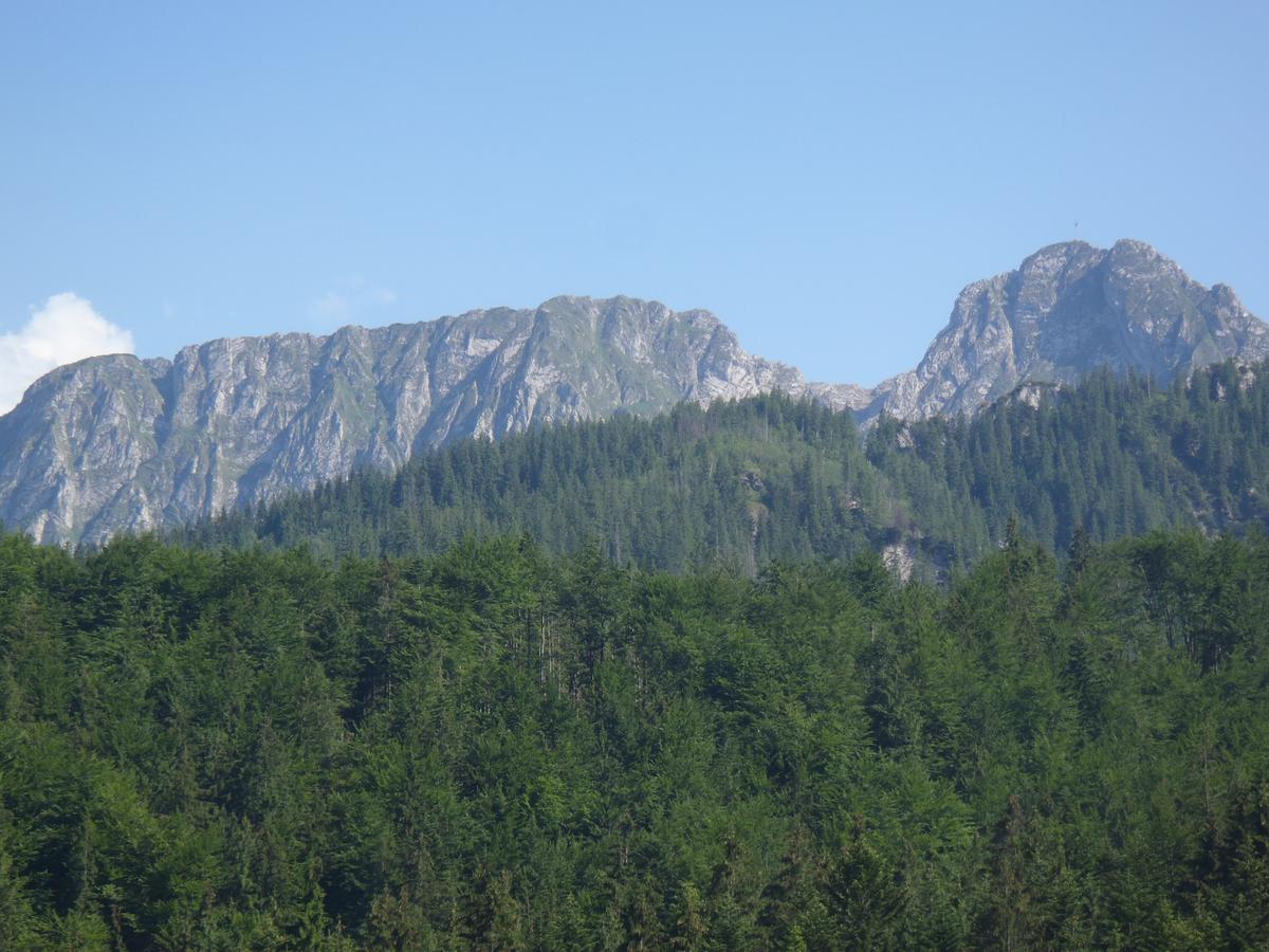 Willa Na Potoku Zakopane Exterior photo
